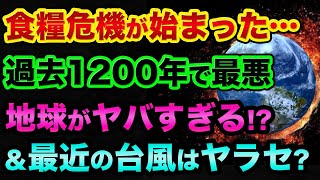 食糧危機が始まりました。過去1200年で最悪、地球が超ヤバい裏話。ロックフェラー財団の予言と最近の台風は怪しすぎる【 食糧危機 日経平均 都市伝説 備蓄 台風14号 台風15号 電子レンジ 予言 】