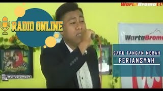 Download lagu Sapu Tangan Merah -  Feriansah