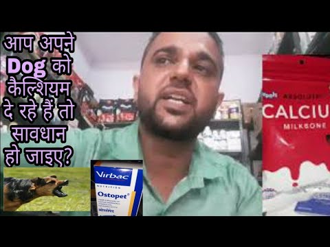 camera iphone 8 plus apk Dog को कैल्शियम दे या नहीं दे, दे तो कौन सा calcium दे#calcium supplement for puppy /Dog