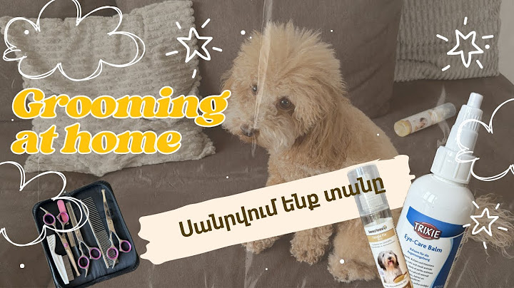 Սանրվելը տան պայմաններում. Poodle Life