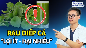Rau Diếp Cá Dùng Sai Cách Rất Nguy Hiểm Với Người Cao Tuổi