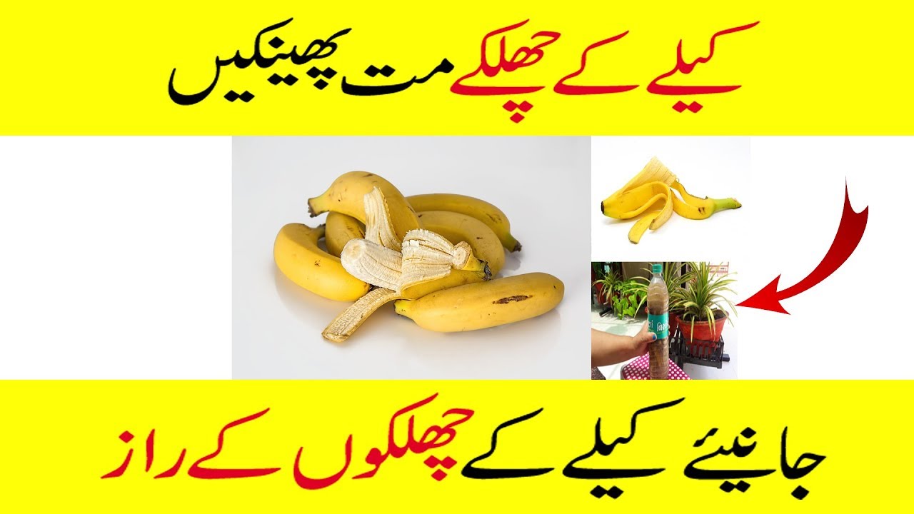 Make Banana peels fertilizer in Urdu/Hindi Homemade garden