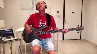 Dark Necessities RHCP- Bass Cover