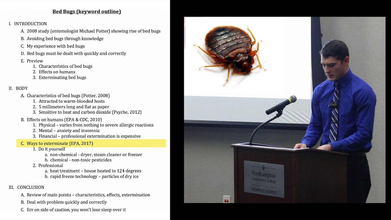 Speech With Keyword Outline Bed Bugs Youtube