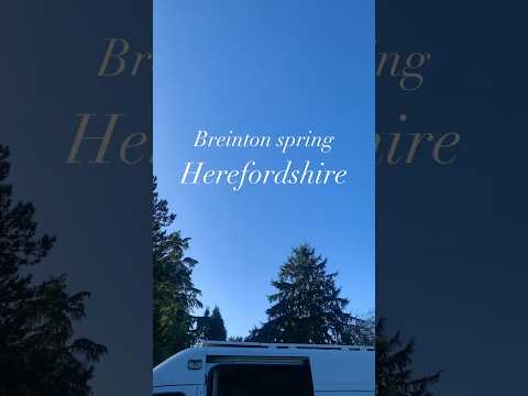 Breinton spring Herefordshire. #walking #vanlife #travel #shorts #adventure #blogger #dog #fun