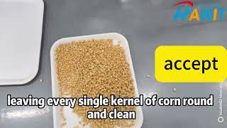 Belt Color Sorter: Corn Sorting---round ones go to storage, square ones are cleared away