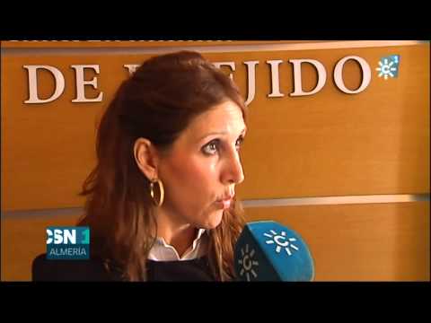 Proyecto Remus. Julia Ibáñez. Servicios Sociales El Ejido