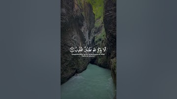 تلاوة رائعة لسورة الرعد الآية (28)