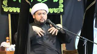 الشيخ علي البيابي - معنى المودة