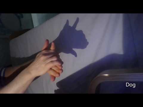 SENsory Atelier at Home - Exploring Light 1: Shadow hand puppets