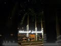 كنسل الشغله شوح الكبده 