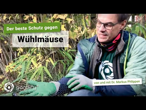 Video: Mäusesichere Pflanzen: Anbau von Pflanzen, die vor Mäusen sicher sind