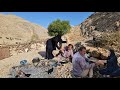 Nomadic Lifestyle of Iran:Vaccinating chickens#nature #mountains