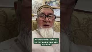Нас посигнет только то,что предписано Аллахом
