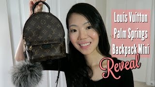 Louis Vuitton - PALM SPRINGS MINI BACKPACK - first impressions