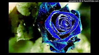 16. YUNG BEEF - ROSAS AZULES (ADROMICFMS4)