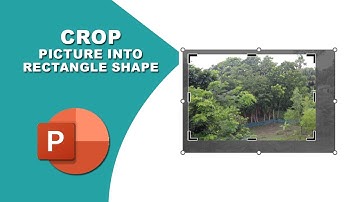 How to crop picture into rectangle shape in PowerPoint