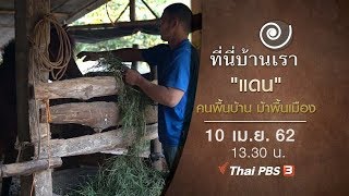 "แดน" คนพื้นบ้าน ม้าพื้นเมือง : ที่นี่บ้านเรา (10 เม.ย. 62)