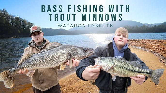 Catching big Crappie (Watauga Lake Tn.) 