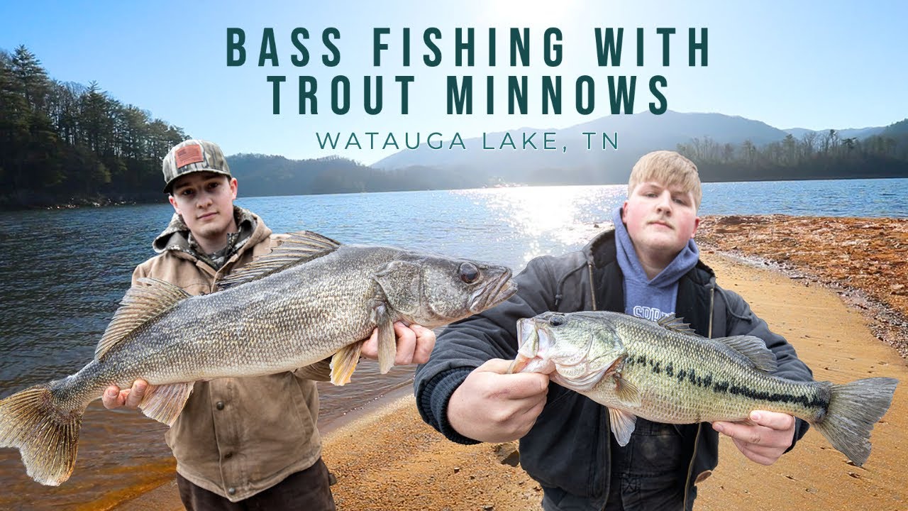 Fishing with Minnows for Trout and Bass! 