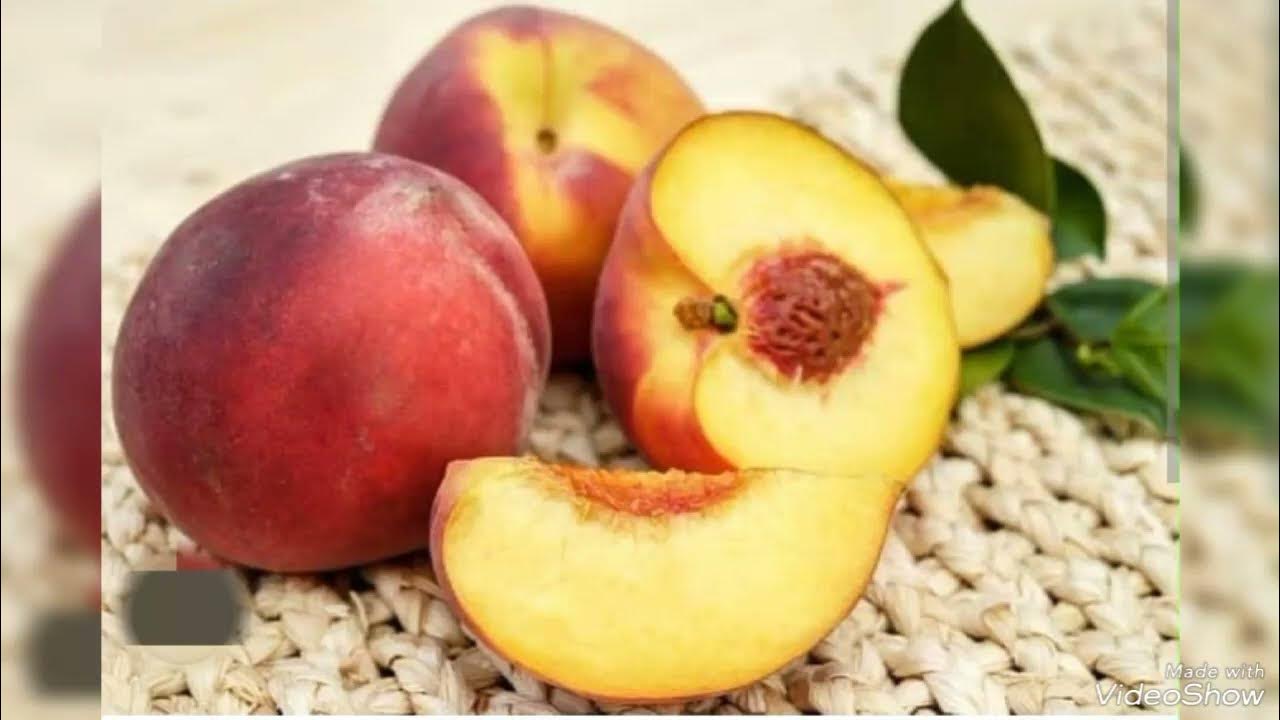 பீச் பழம் சாப்பிடுவதால் கிடைக்கும் ஆரோக்கிய நன்மைகள் peach 🍑 palam benefits in tamil YouTube