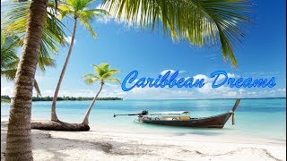 🏖  Best Tropical, Caribbean, and Steel Drum Music 🎵  🏖
