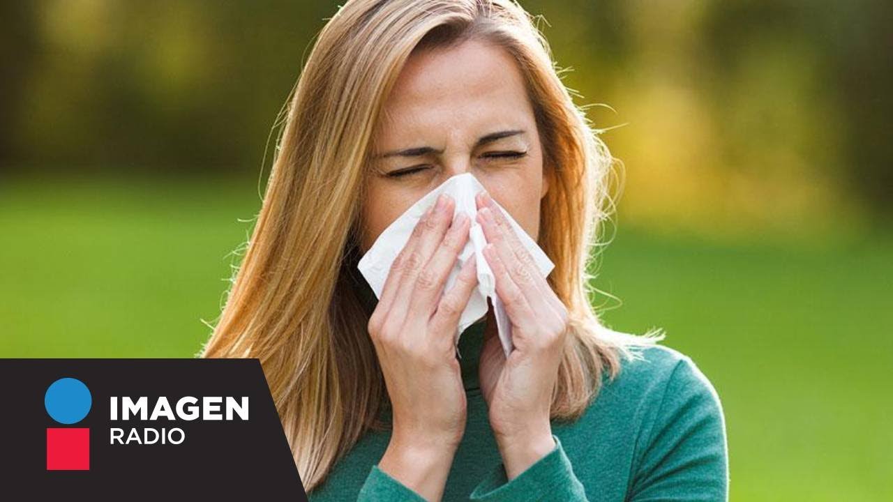 Alergia al ibuprofeno alternativas