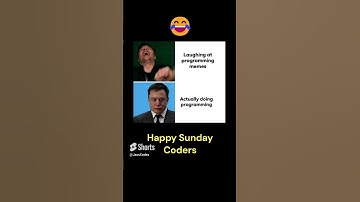 Programmer