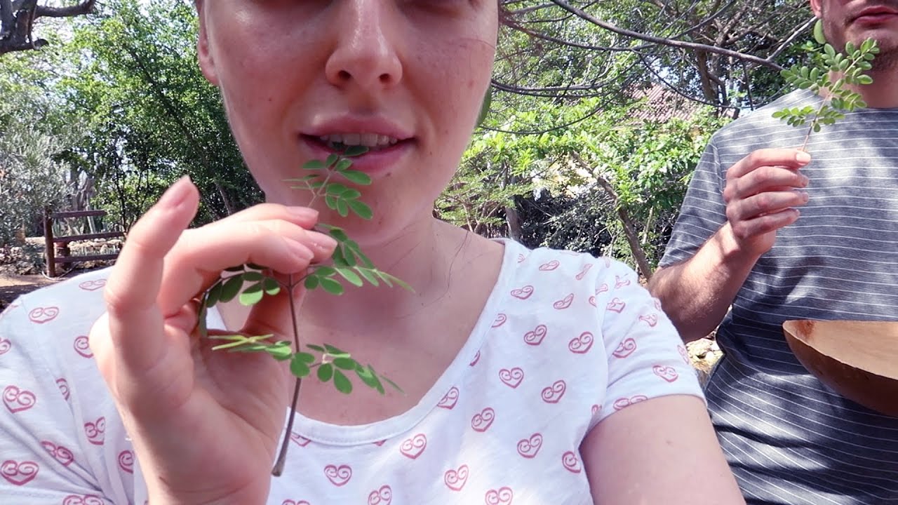 Plantjes eten en parfum maken | Vloggloss 752