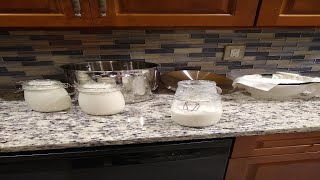 Yogurt Making Result, 8 Hour Fermentation, Log 2