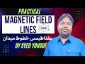 Magnetic Field Lines Practicals | مقناطیسی خطوط میدان | @Brainystudycircle