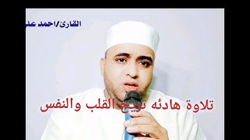 تلاوة هادئه تريح القلب والنفس سورة النبأ كامله القارئ احمد على الدكرورى