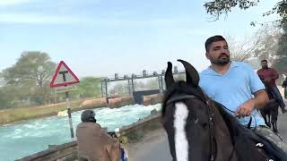 longest horse ride for 80 km by long riders with marwari horse