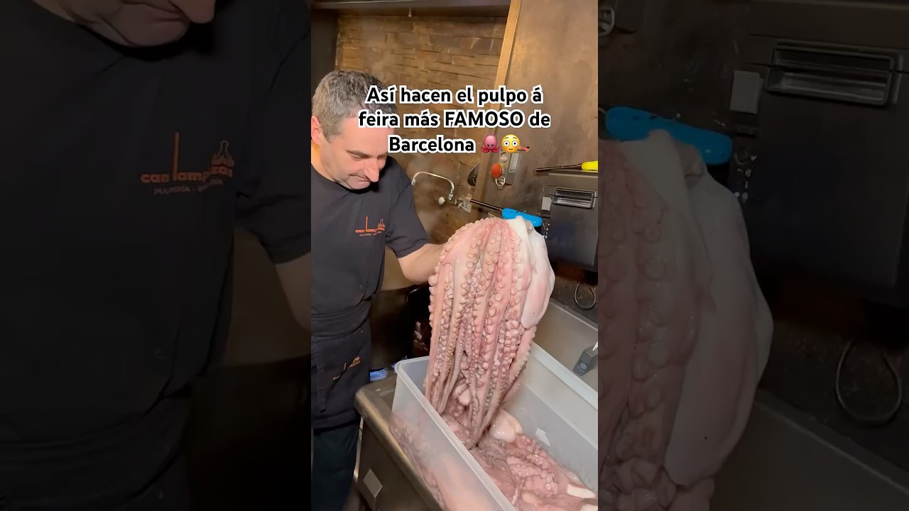 El pulpo más FAMOSO de Barcelona | Mejor pulpo de BCN | Can Lampazas en Paral.lel | empanada gallega