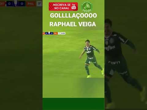 GOLAÇO DE FORA DA ÁREA DO RAPHAEL VEIGA #golsdehoje #futebol #shorts #palmeiras GOLAÇO DE FORA DA ÁREA DO RAPHAEL VEIGA #golsdehoje #futebol #shorts #palmeiras Thumbnail