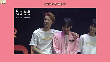 |FMV Vietsub||Panwink| Cưng chiều đến hư