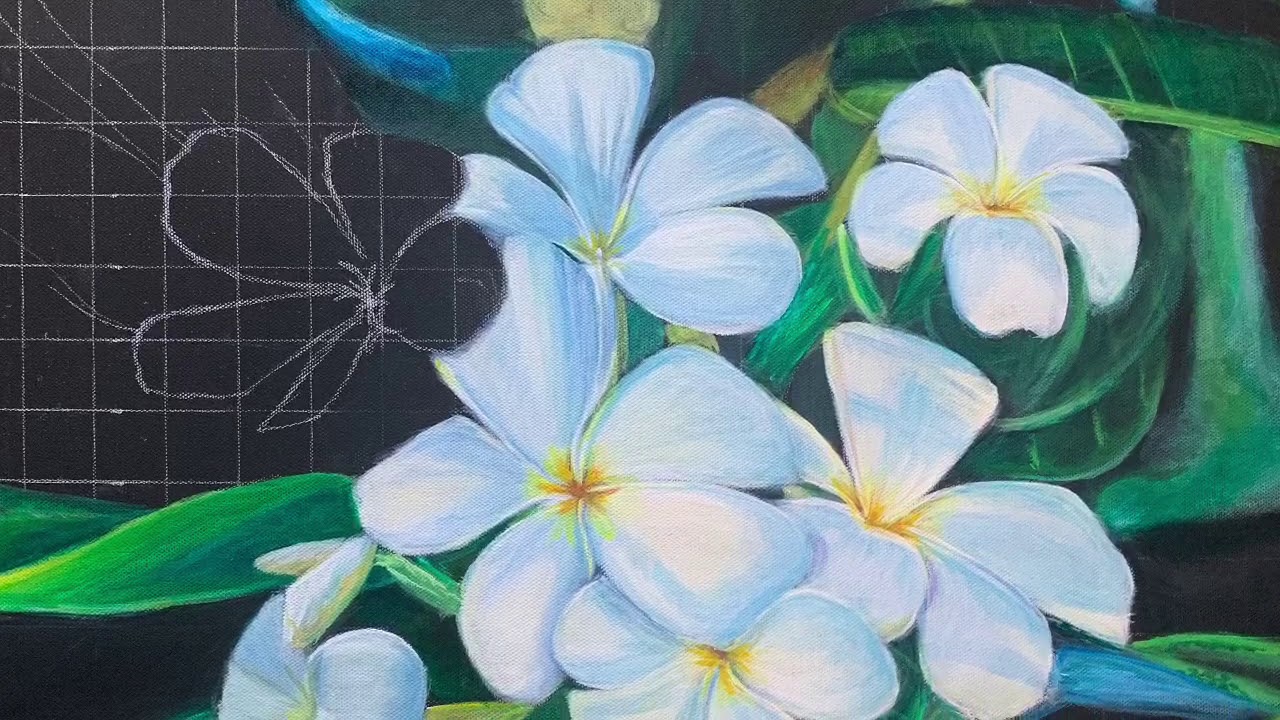 Plumeria painting in Acrylic YouTube