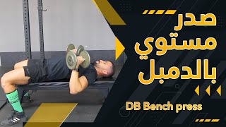DB bench press | شرح تمرين الصدر المستوي بالدامبل | عبدالعزيز دلحي