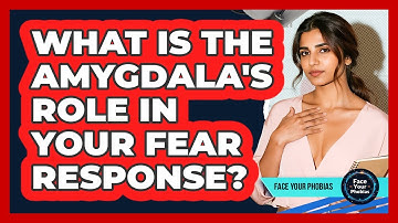 What Is The Amygdala