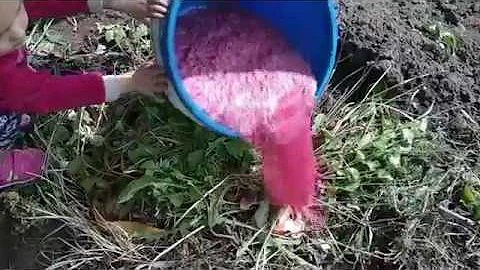Зажигалка для компостной ямы