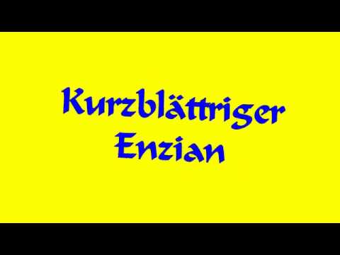 Video: Kurzblättriger Spargel