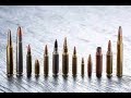 What is the best caliber for SHTF