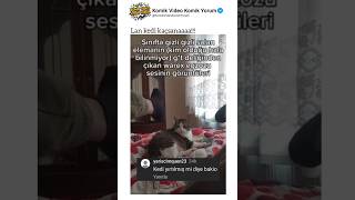 Kedisinin Yanında Zart Zurt Osuran Kardeşimiz Kedisini Şok Etti
