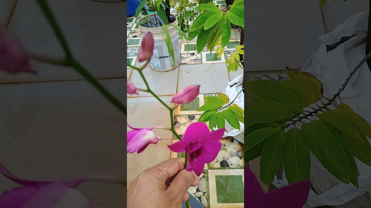 True #beauty is found in #divesity n uniqueness 🤞❣️