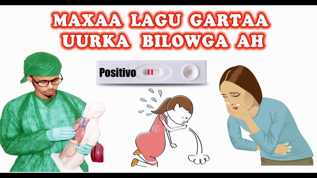 MAXAA KU GARAN KARTAA UURKA CUSUB (#calaamadaha_Uurka). Dr faris