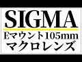 シグマ 105mm F2.8 DG DN MACRO Artがくる！SIGMAのEマウント、Lマウントレンズ SONY