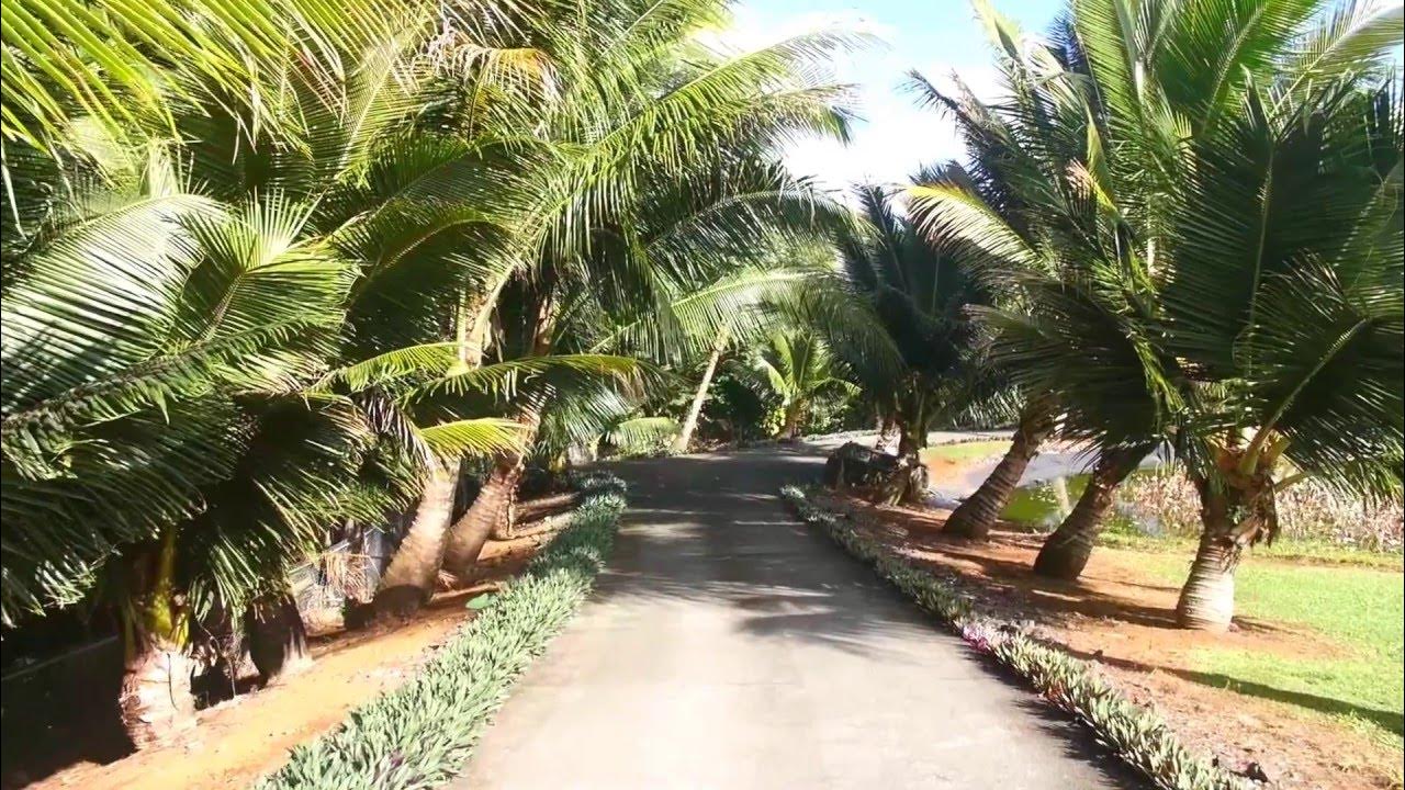 272174 Hawaii Belt Rd Papaikou homes for sale Hawaii MLS 292069 YouTube