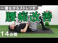 【14分間】寝ながら腰痛改善する方法!お腹痩せ・便秘改善にも効果的 #578