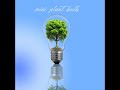 profahnal graphic designer miniplant bulb #karachi #pakistan