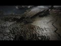 Game of Thrones - fã de carteirinha! #3